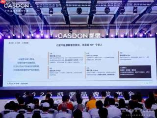 不止蒸烤专家，解读凯度：中国高端新厨电定义者