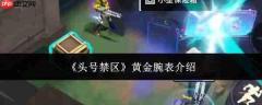 头号禁区黄金腕表评测及介绍