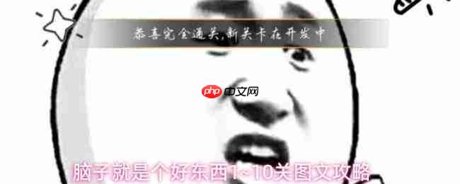 脑子确实有用：1~10关通关方法及图文详解
