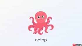 octop v0.9.20如何配置本地llm提供商