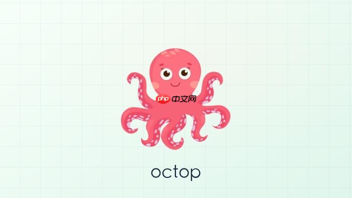 octop v0.9.20怎样设置专家jwt