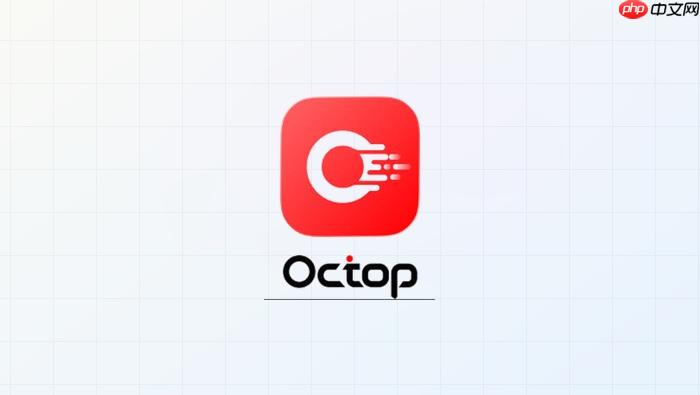 octop v1.0.0如何设置专家专属工作区