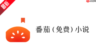 番茄免费小说怎么清理缓存释放空间