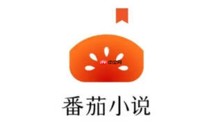 番茄免费小说怎么找发疯文学小说