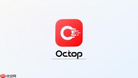 octop v0.9.24如何管理专家记忆