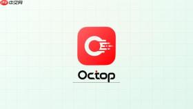 Octopv0.9.16怎样启用终端AI+功能