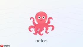 如何在Octop v1.0.0中排查连接问题