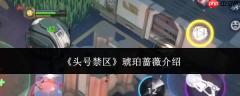 头号禁区中的琥珀蔷薇是什么？琥珀蔷薇详解