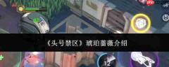 头号禁区中的琥珀蔷薇是什么?琥珀蔷薇详解