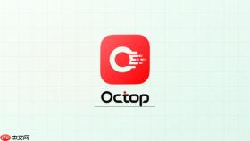 Octop v0.9.20怎样设置PostgreSQL数据库