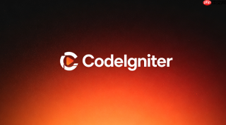 为什么codeigniter调试模式下看不到数据库错误日志