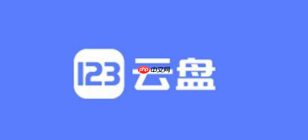 123云盘vip会员的直链流量包怎么使用