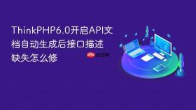 ThinkPHP6.0开启API文档自动生成后接口描述缺失怎么修