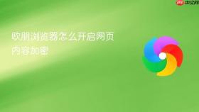 欧朋浏览器怎么开启网页内容加密