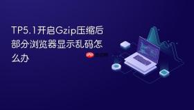 tp5.1开启gzip压缩后部分浏览器显示乱码怎么办