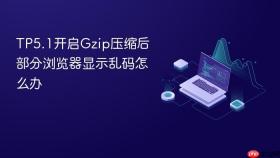 TP5.1开启Gzip压缩后部分浏览器显示乱码怎么办