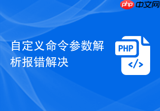 自定义命令参数解析报错解决