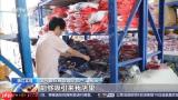 2026美加墨世界杯开赛日期是何时