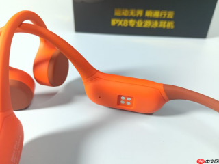 游泳耳机园世BetaPro 三十天体验