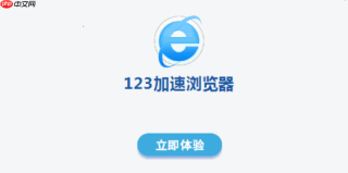 123加速浏览器怎么设置浏览器安全中心