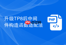 升级TP8后中间件构造函数适配法