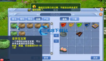 梦幻西游牧场高效积分攻略 珍稀爬行哺乳禽鸟宝宝窝最佳选择
