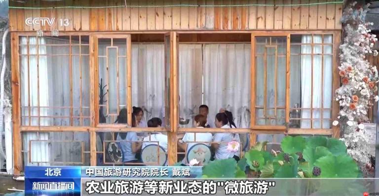 剧本游、山居慢游 多元玩法带热乡村微度假