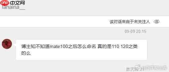 传华为双旗舰2027年起切换年份命名 数字序列将封顶