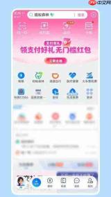 支付宝AI版怎么通过对话框一句话办完事