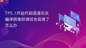 TP5.1开启代码混淆后反编译困难但调试也变难了怎么办