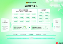 美团启用CatPaw中文名“妙手” 生活场景AI加速落地