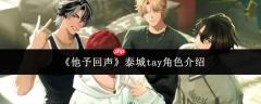 他饰演的泰城tay角色如何？泰城tay角色详解
