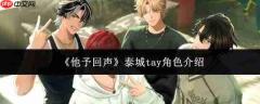 他饰演的泰城tay角色如何？泰城tay角色详解
