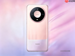 华为Mate 90系列价格曝光：标准版起售价或6000元