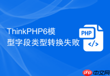 ThinkPHP6模型字段类型转换失败