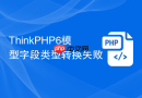 thinkphp6模型字段类型转换失败