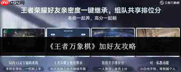 王者万象棋加好友方法及攻略