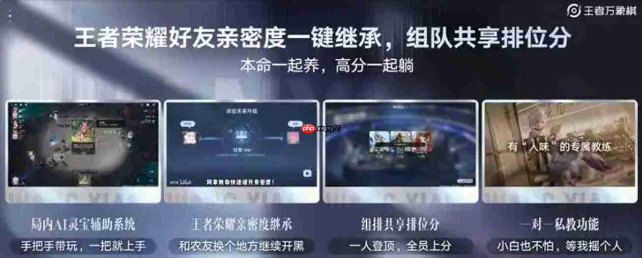 王者万象棋加好友方法及攻略