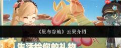 星布谷地中的云果是什么——云果简介