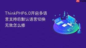 thinkphp6.0开启多语言支持后默认语言切换无效怎么修