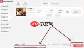 野葱视频转换器怎样给视频加水印