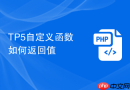 tp5自定义函数如何返回值