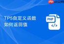 TP5自定义函数如何返回值