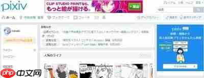pixiv官网网址是什么