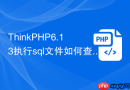 ThinkPHP6.13执行sql文件如何查看权限