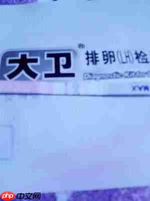 SBTI测试妈妈是什么人格