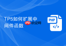 TP5如何扩展中间件函数