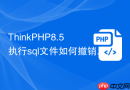 thinkphp8.5执行sql文件如何撤销权限