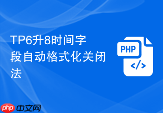 tp6升8时间字段自动格式化关闭法