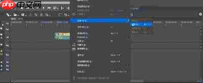 edius怎么锁定某段视频
